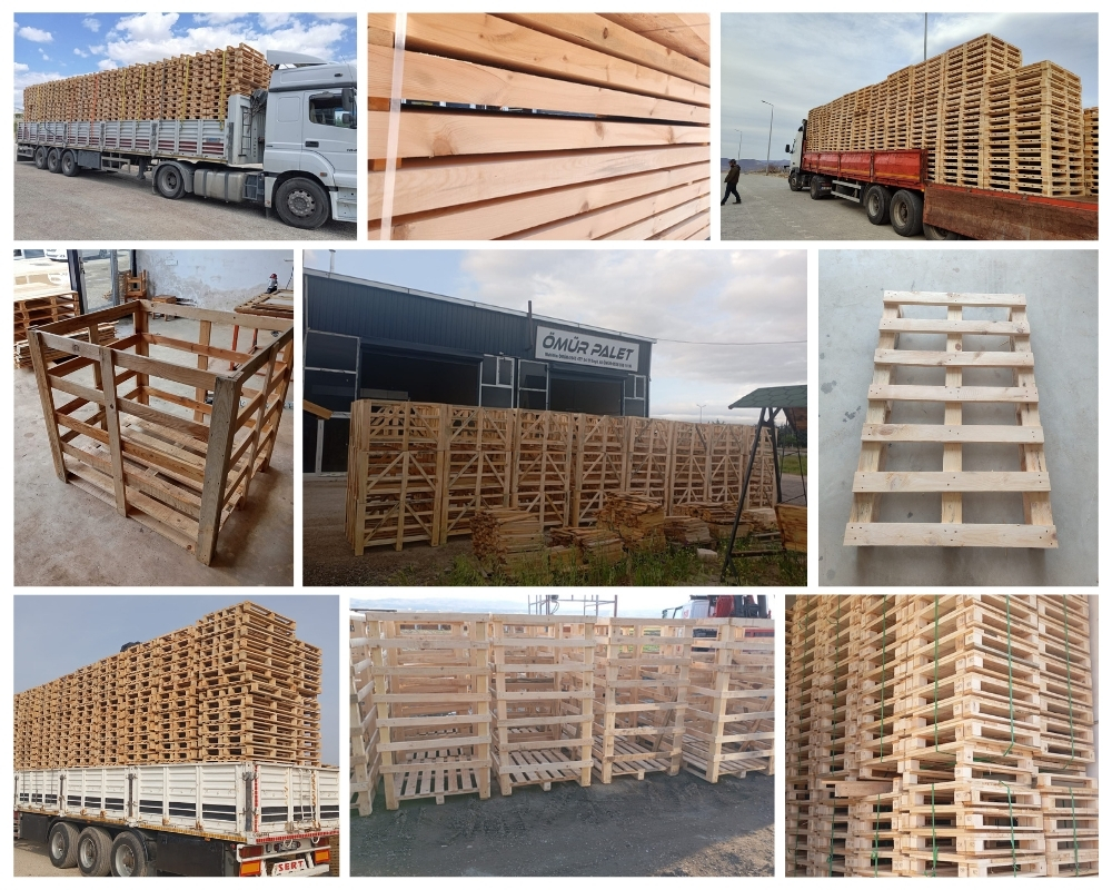 The Hague Houten Kisten, Europallets Groothandel Kopen